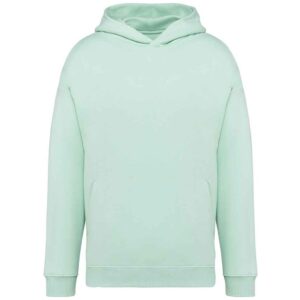 Native Spirit Unisex Oversized Hoodie