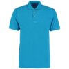 Turquoise Blue