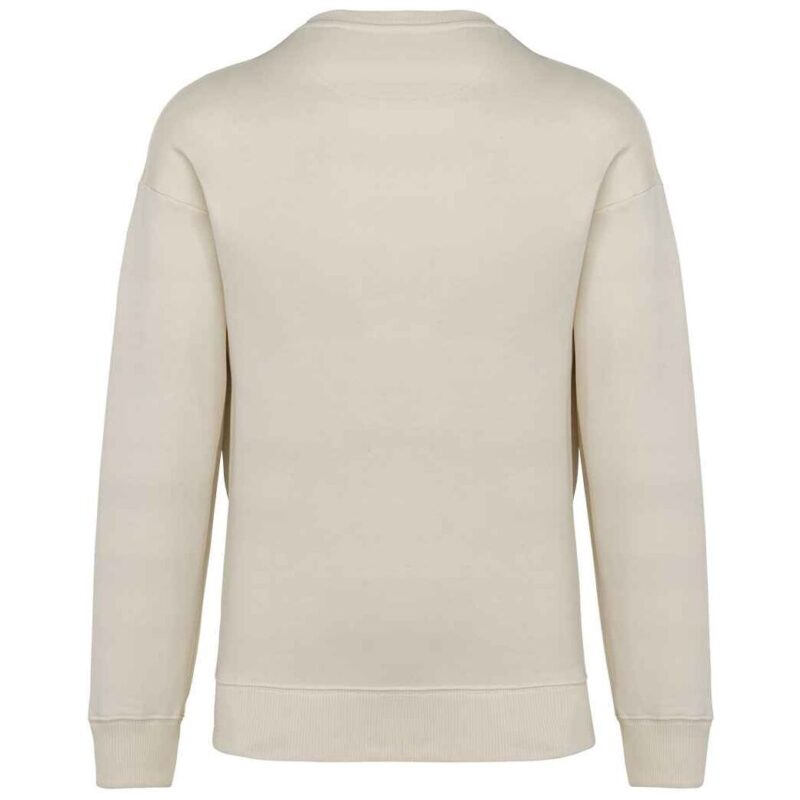 Native Spirit Unisex Oversized Sweatshirt