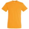 Apricot