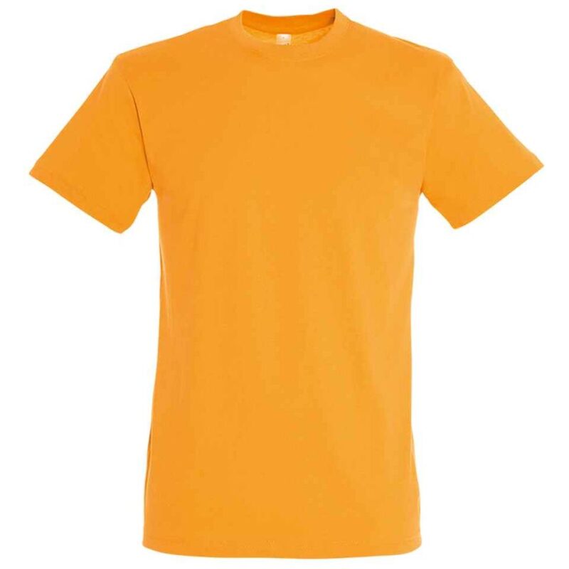 SOL'S Regent T-Shirt