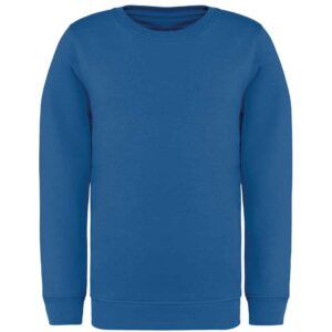 Native Spirit Kids Crew Neck Sweatshirt