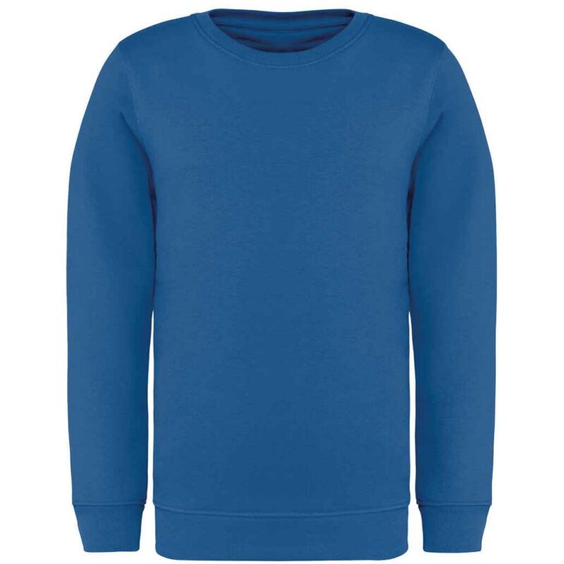 Native Spirit Kids Crew Neck Sweatshirt