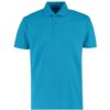 Turquoise Blue