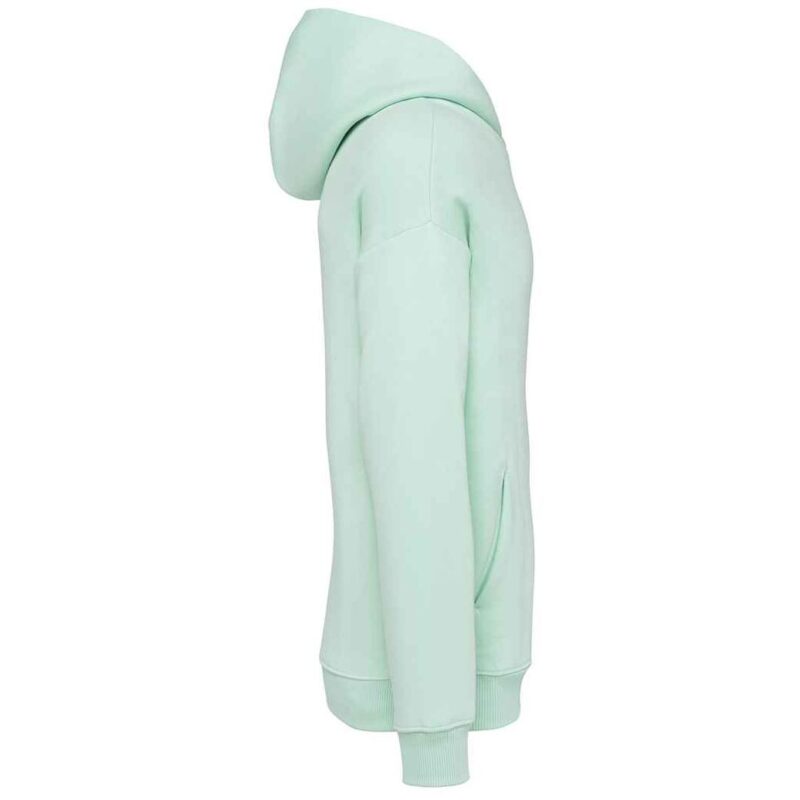 Native Spirit Unisex Oversized Hoodie