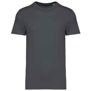 Native Spirit Unisex Heavyweight T-Shirt