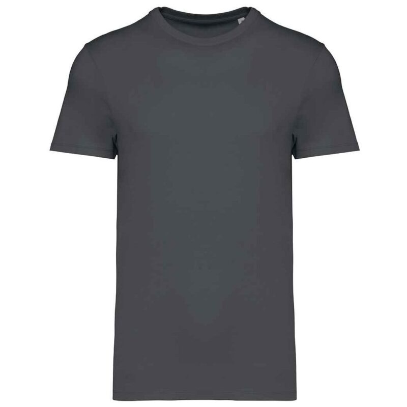Native Spirit Unisex Heavyweight T-Shirt