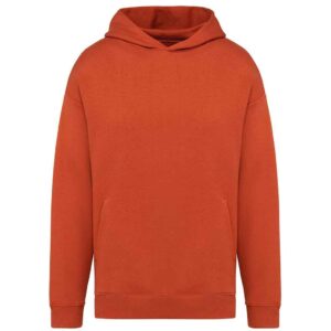 Native Spirit Unisex Oversized Hoodie