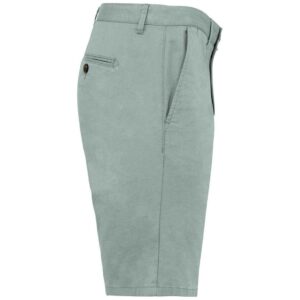 Native Spirit Chino Shorts