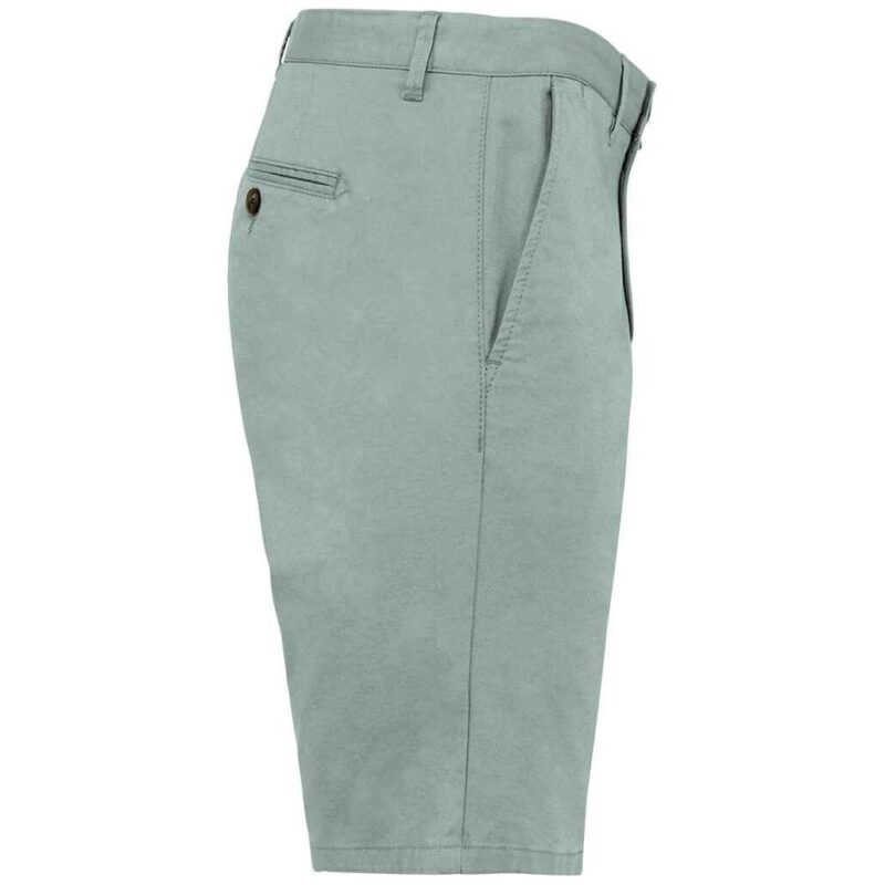 Native Spirit Chino Shorts