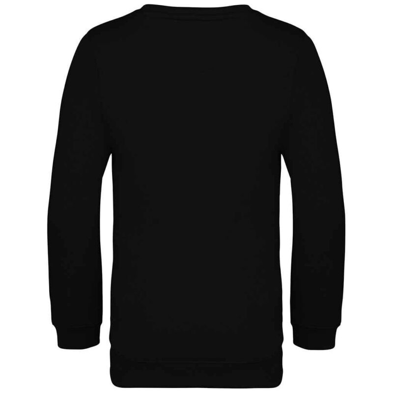 Native Spirit Kids Crew Neck Sweatshirt