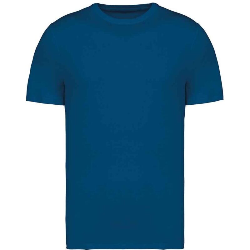 Native Spirit Unisex Heavyweight T-Shirt