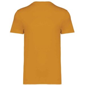 Native Spirit Unisex Heavyweight T-Shirt