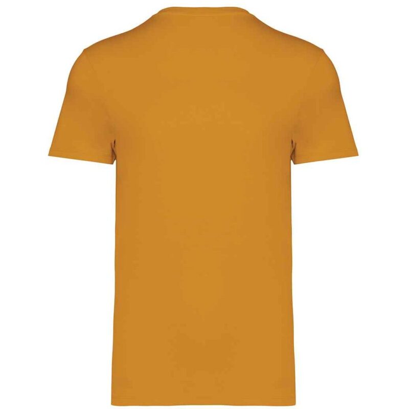 Native Spirit Unisex Heavyweight T-Shirt