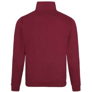 AWDis Sophomore Zip Neck Sweatshirt