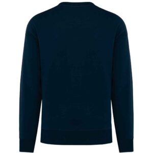 Native Spirit Unisex Oversized Sweatshirt