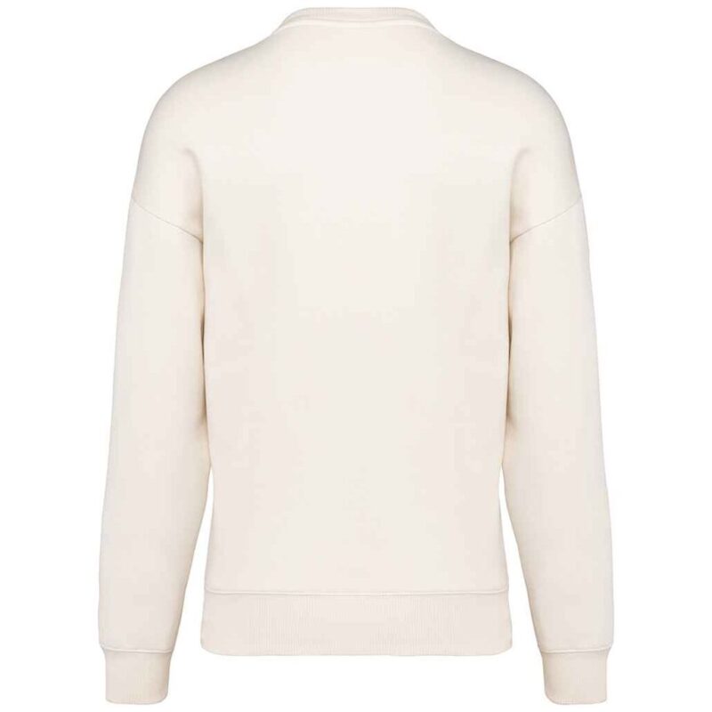 Native Spirit Unisex Oversized Sweatshirt