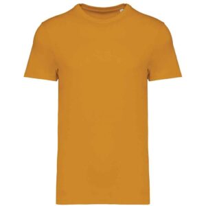 Native Spirit Unisex Heavyweight T-Shirt