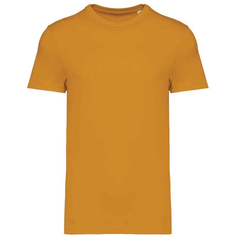 Native Spirit Unisex Heavyweight T-Shirt