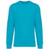 Light Turquoise