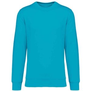 Native Spirit Unisex Crew Neck Sweatshirt