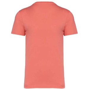 Native Spirit Unisex Heavyweight T-Shirt