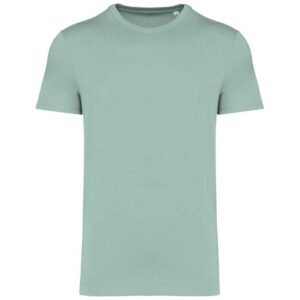 Native Spirit Unisex Heavyweight T-Shirt
