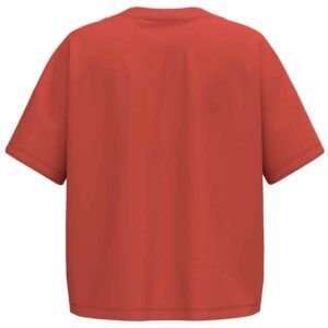 Native Spirit Ladies Oversized T-Shirt