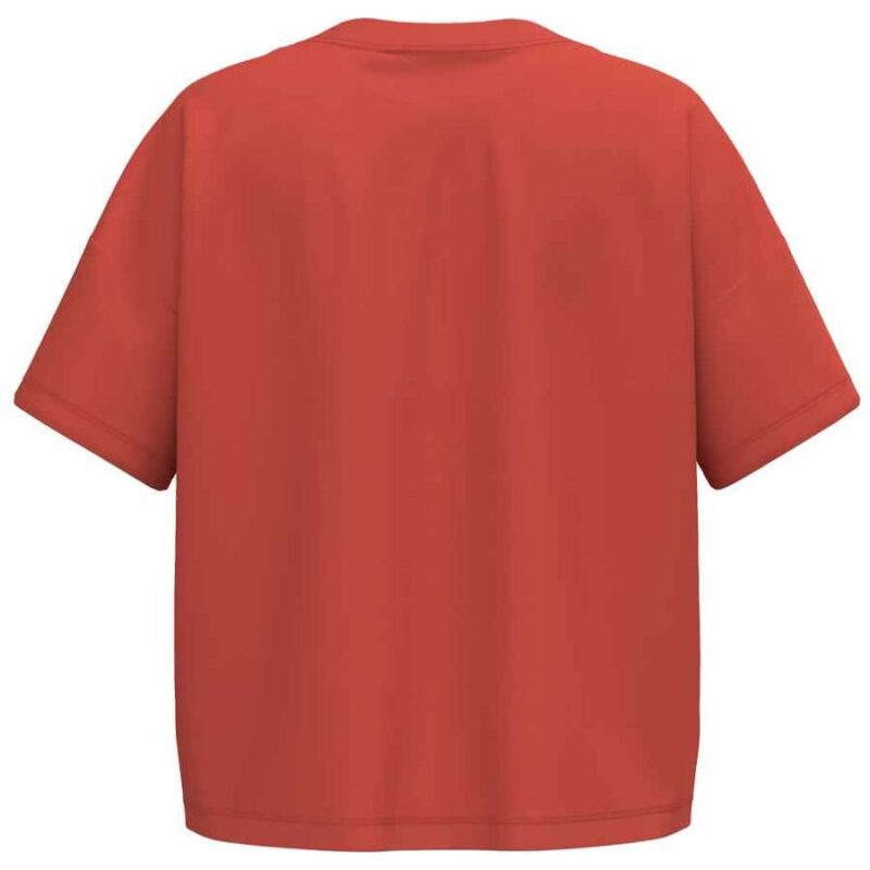 Native Spirit Ladies Oversized T-Shirt