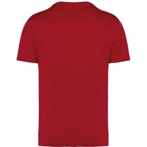Native Spirit Unisex Heavyweight T-Shirt