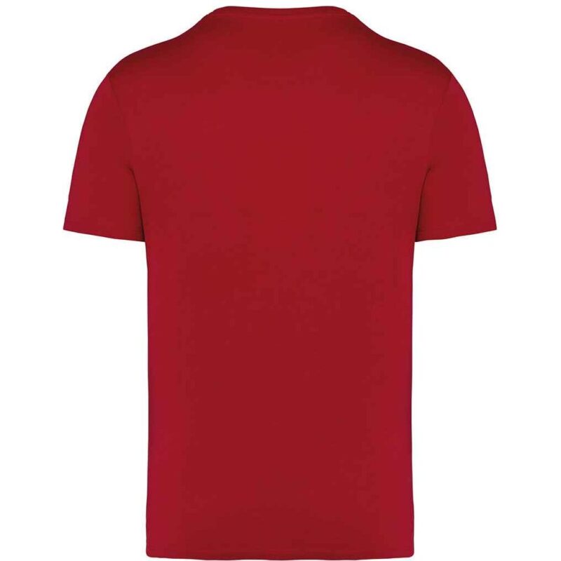 Native Spirit Unisex Heavyweight T-Shirt