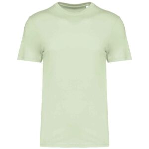 Native Spirit Unisex T-Shirt