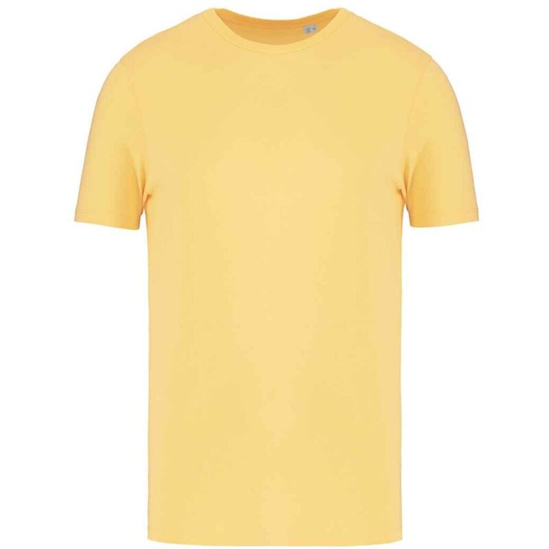 Native Spirit Unisex T-Shirt