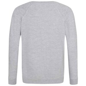 AWDis Academy Kids Raglan Sweatshirt