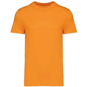 Native Spirit Unisex Heavyweight T-Shirt