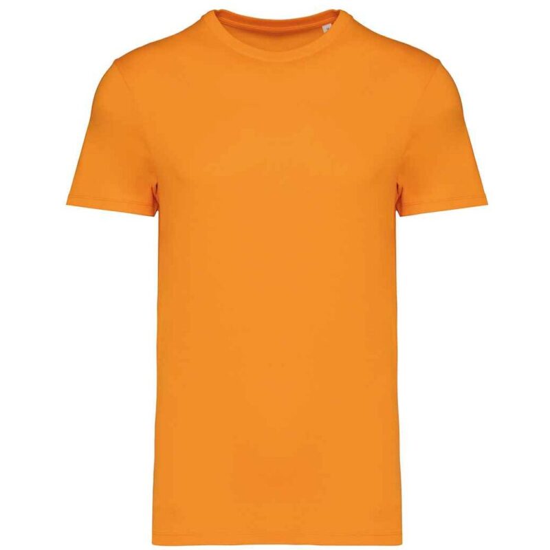 Native Spirit Unisex Heavyweight T-Shirt