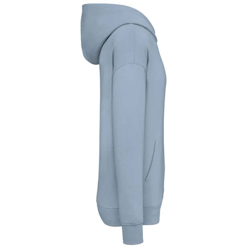 Native Spirit Unisex Oversized Hoodie
