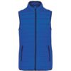 Light Royal Blue