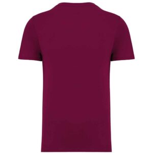 Native Spirit Unisex Heavyweight T-Shirt