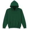 Fan Dark Green