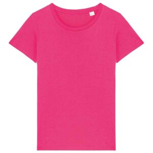 Native Spirit Ladies T-Shirt