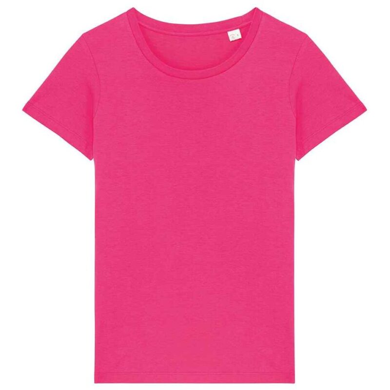 Native Spirit Ladies T-Shirt