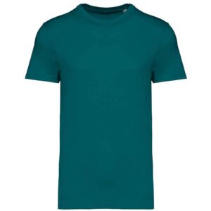 Native Spirit Unisex Heavyweight T-Shirt