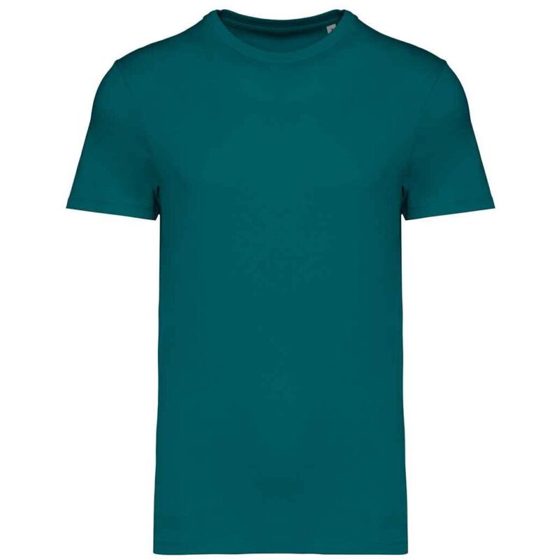 Native Spirit Unisex Heavyweight T-Shirt