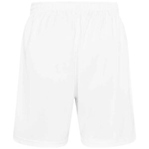 AWDis Cool Mesh Lined Shorts