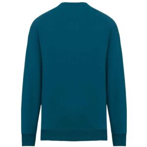 Native Spirit Unisex Oversized Sweatshirt