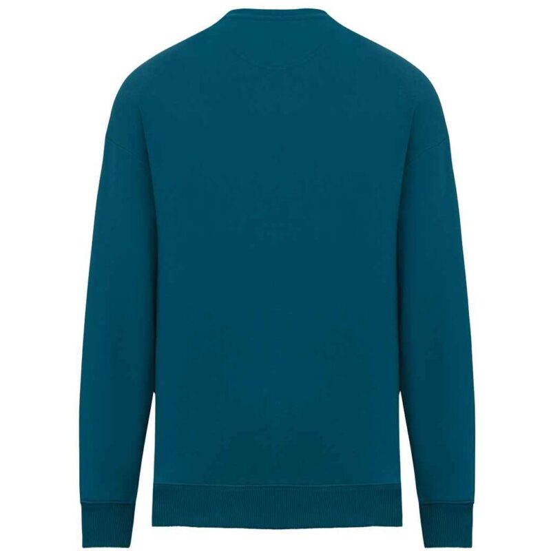 Native Spirit Unisex Oversized Sweatshirt