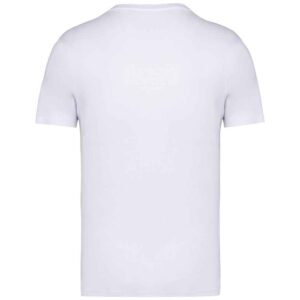 Native Spirit Unisex Heavyweight T-Shirt