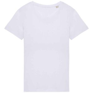 Native Spirit Ladies T-Shirt