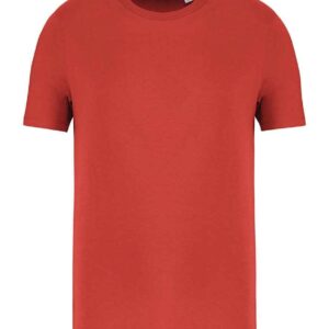 Native Spirit Unisex T-Shirt